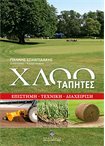 Χλοοτάπητες